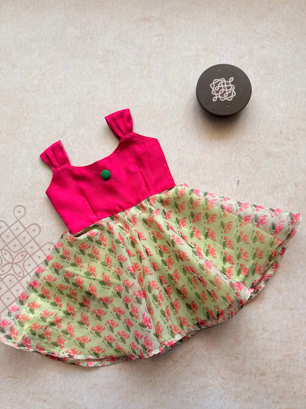 Baby Girl Dress Express