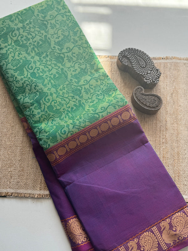 Kanchi cotton Saree - Festive Collection