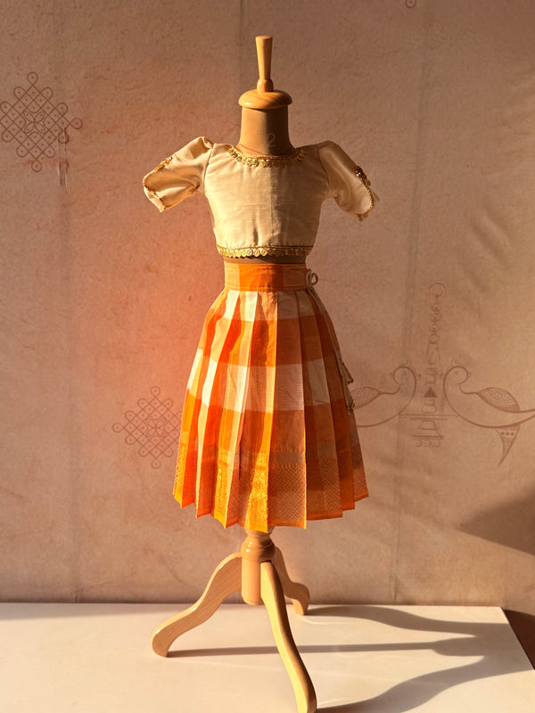 Aarna - Crop top and skirt