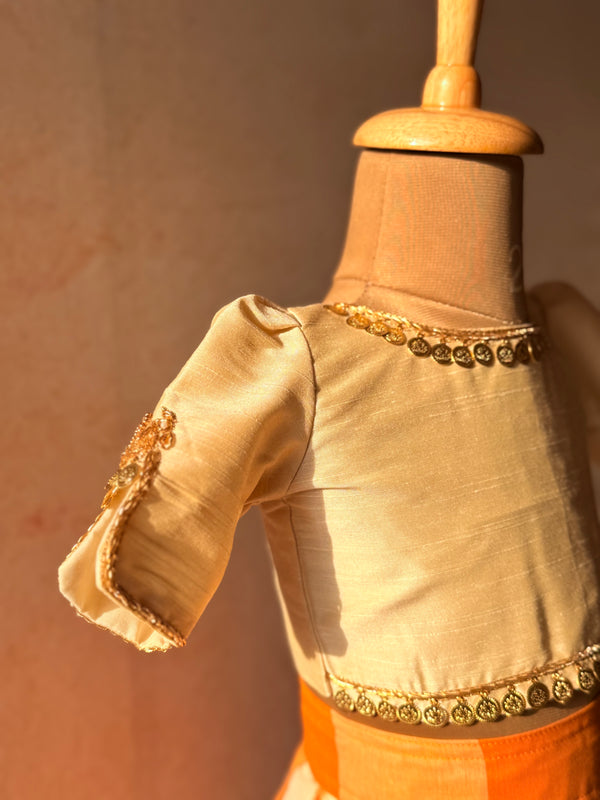 Aarna - Crop top and skirt