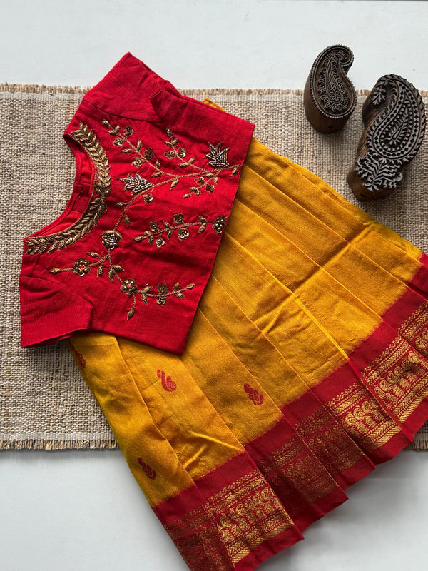 Aakriti - Crop top and skirt