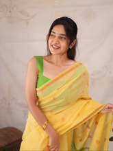Maheshwari Silk Cotton Saree