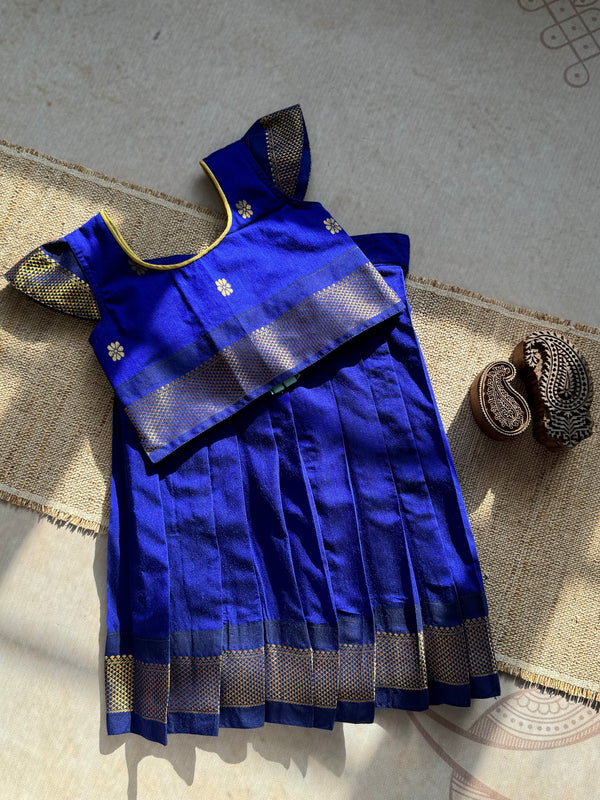 Aakriti - Crop top and skirt