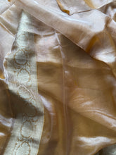 Sarva - Regal Banarasi Saree