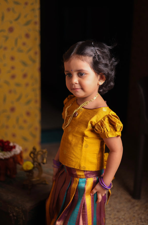 Banarasi Crop top and skirt - Festive Collection Express