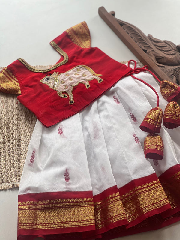 Aakriti Crop top and skirt - Express