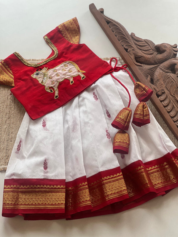 Aakriti Crop top and skirt - Express