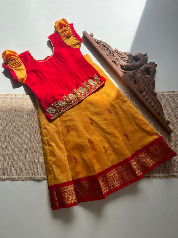Aakriti - Crop top and skirt