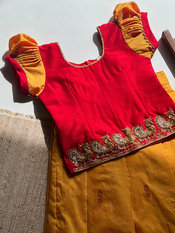 Aakriti - Crop top and skirt