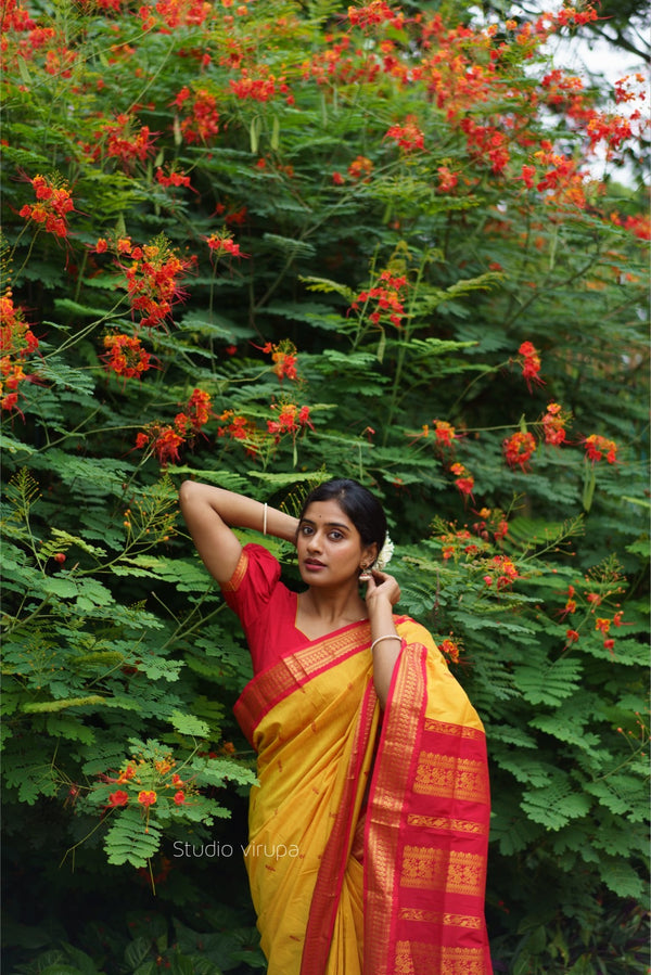 Aakriti