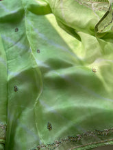 Senorita pure organza silk
