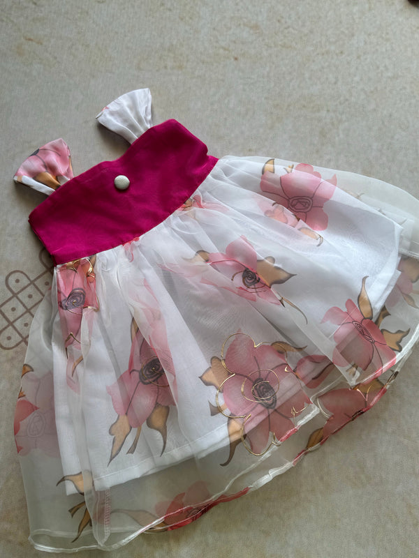 Baby Girl dress - Express