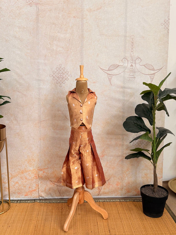 Eka - Indo Western Style Co-ord Set