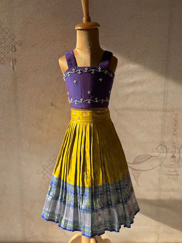Esha - Crop Top and Skirt Occasion Edit