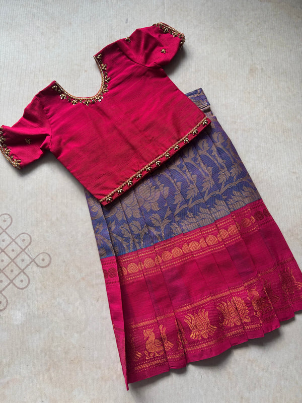 Sarvani - Crop top and Skirt