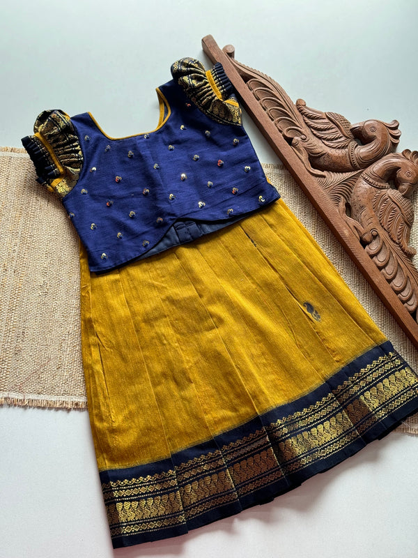 Aakriti - Crop top and skirt