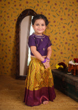 Pochampally Crop top and skirt - Diwali Collection Express