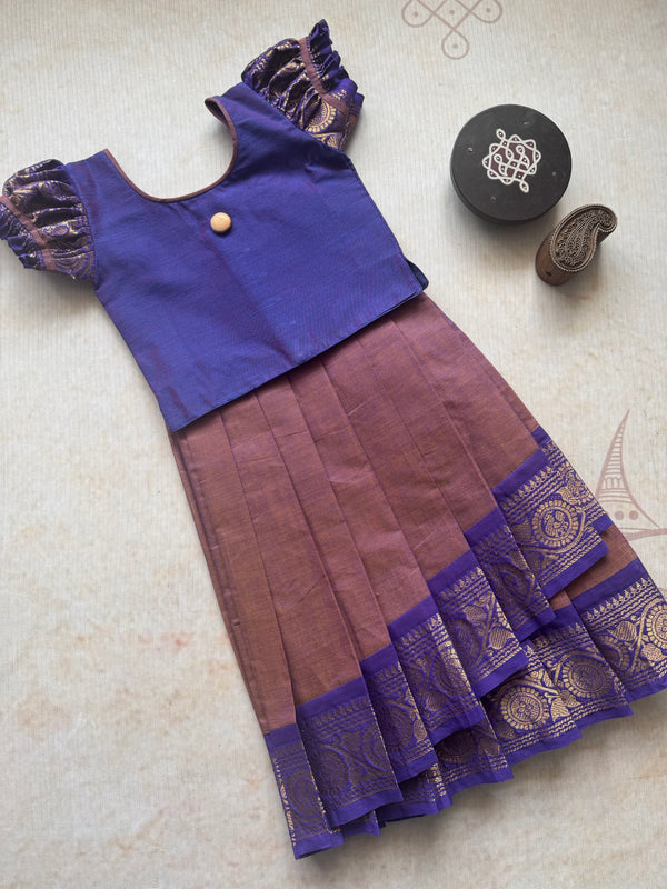 Nirupa Overlapped Bodice Skirt and Top