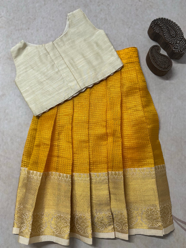 Glass Tissue Crop top and skirt  - Festive Styles