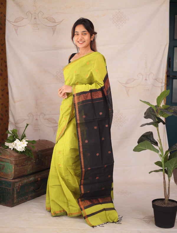Maheshwari Silk Cotton Saree