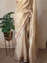 Pure Silk Tissue Kanchi Border Saree | Wedding & Festive Wear