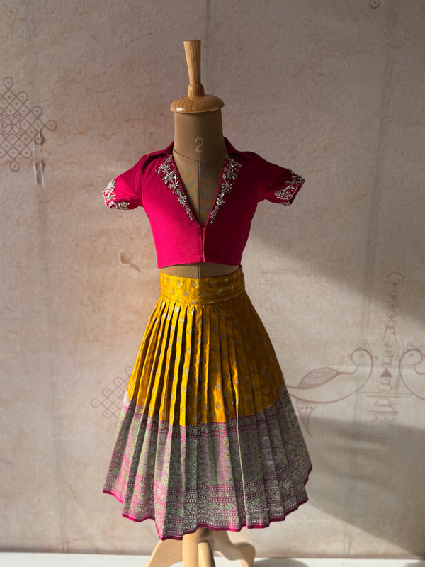 Esha - Crop Top and Skirt Occasion Edit