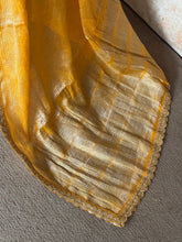 Narmada - Pure Tissue Mushru Silk Saree