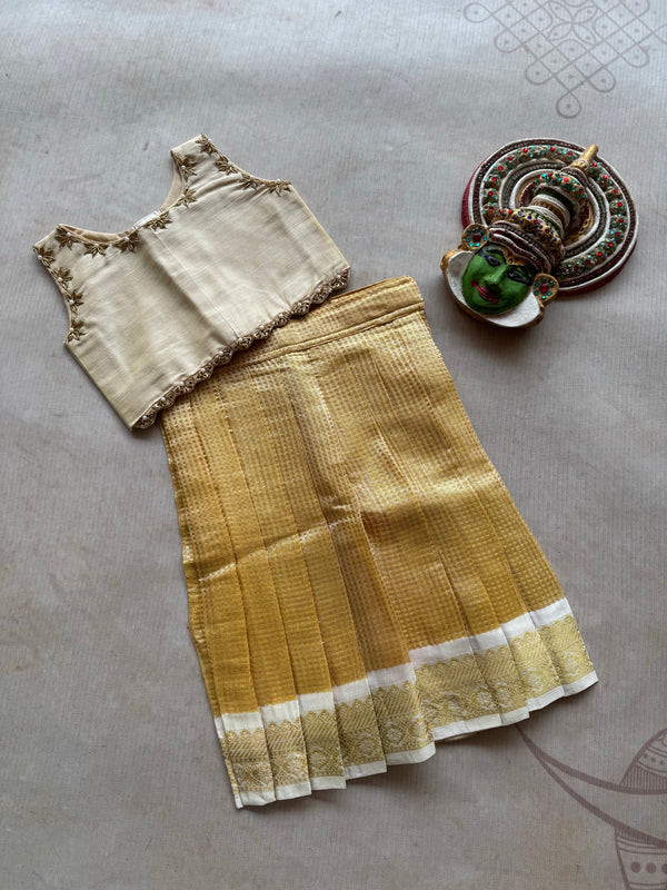 Glass Tissue Crop top and Skirt - Express