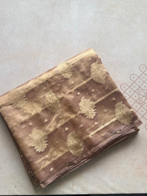 Pure Molten Gold Tissue Saree