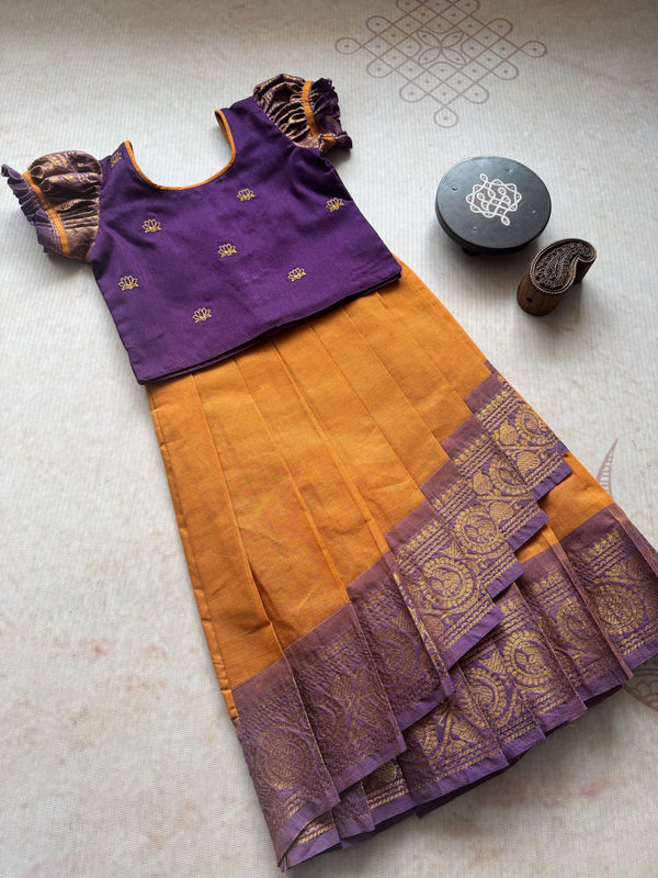 Nirupa Overlapped Bodice Skirt and Top