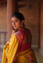 Semi Kanchi Silk Saree – Aramadam Mayilkan Border