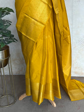 Lakshya Semi Kanchi Silk Saree (Navaratri Collection)