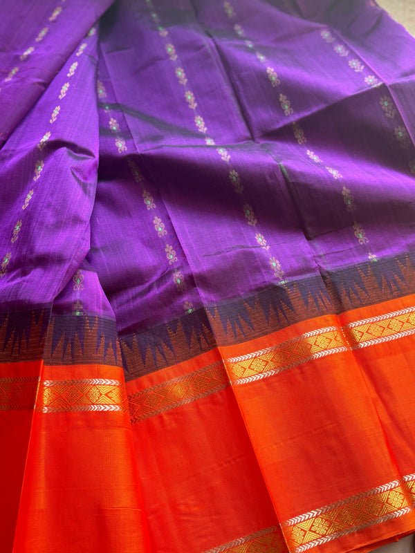 Kanchi Silk Cotton Saree