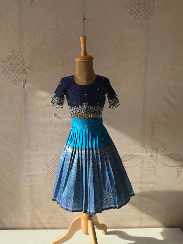 Esha - Crop Top and Skirt Occasion Edit