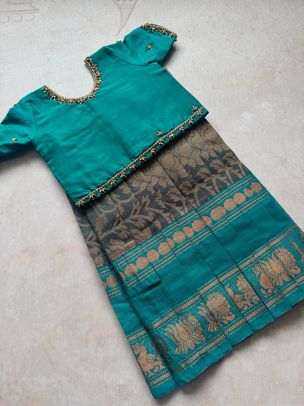 Sarvani - Crop top and Skirt