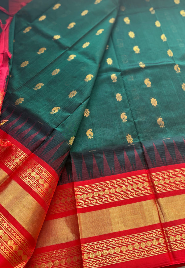 Kanchi Silk Cotton Saree