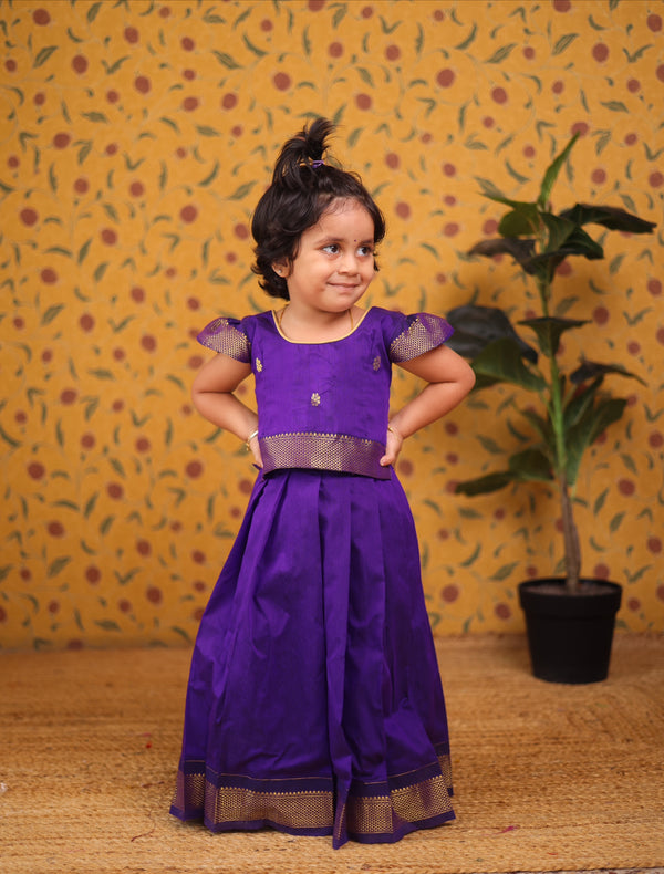 Aakriti - Crop top and skirt