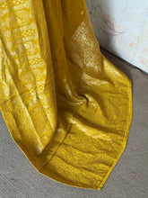 Tripti Mushru Banarasi Silk Saree – Peacock & Rani Palki Zari