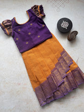 Nirupa Overlapped Bodice Skirt and Top