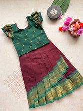 Nirupa Overlapped Bodice Skirt and Top