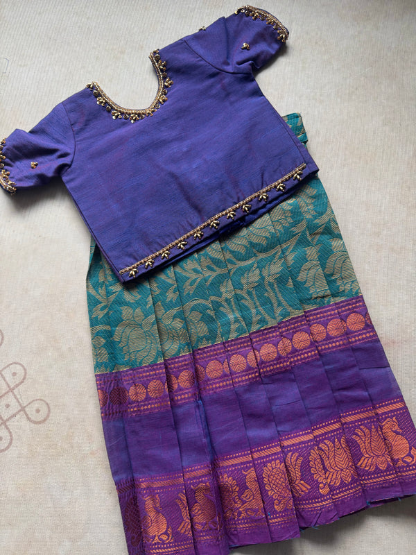 Sarvani - Crop top and Skirt