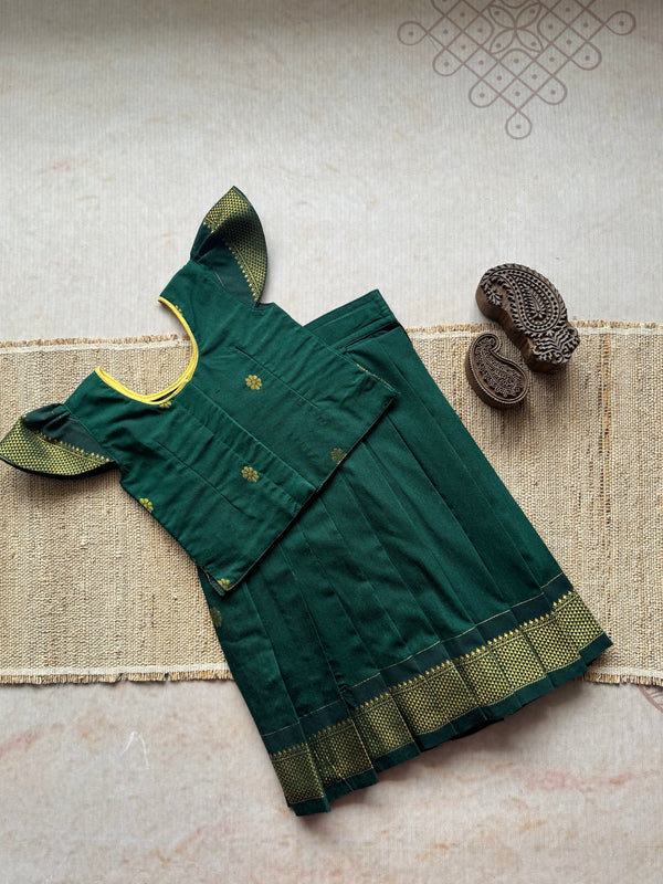 Aakriti - Crop top and skirt