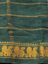 Yaazh - Pure Kanchi Cotton Saree