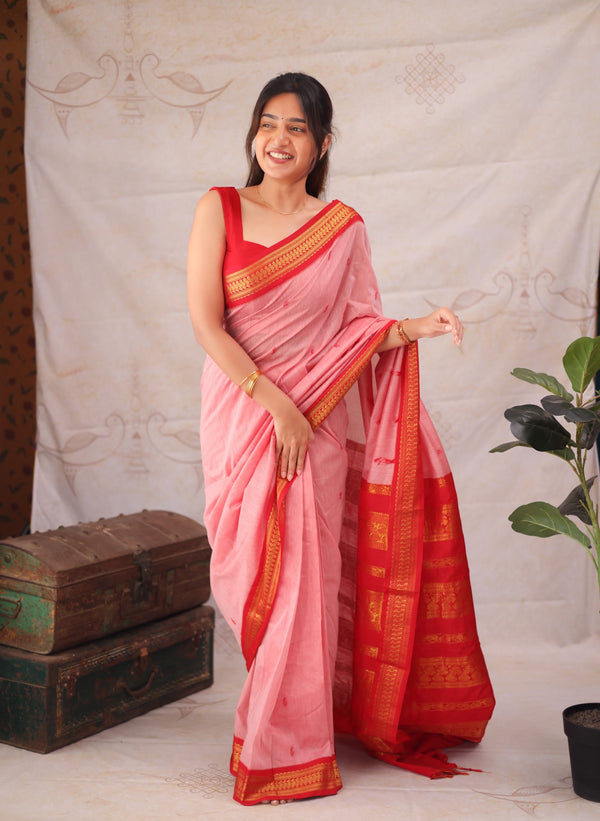 Maheshwari Silk Cotton Saree