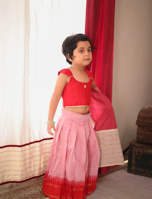 Aakriti - Crop top and skirt