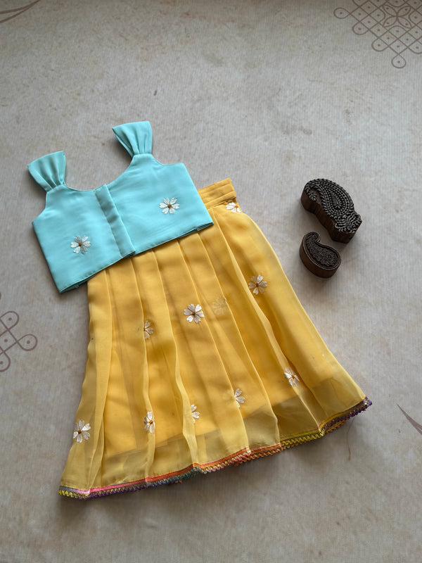 Daisy  Crop top and Skirt Express