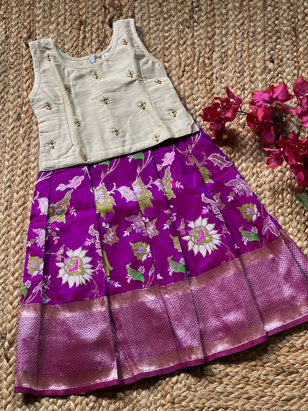 Banarasi Skirt with bodice and embroidered top