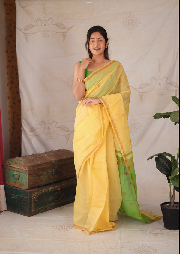 Maheshwari Silk Cotton Saree