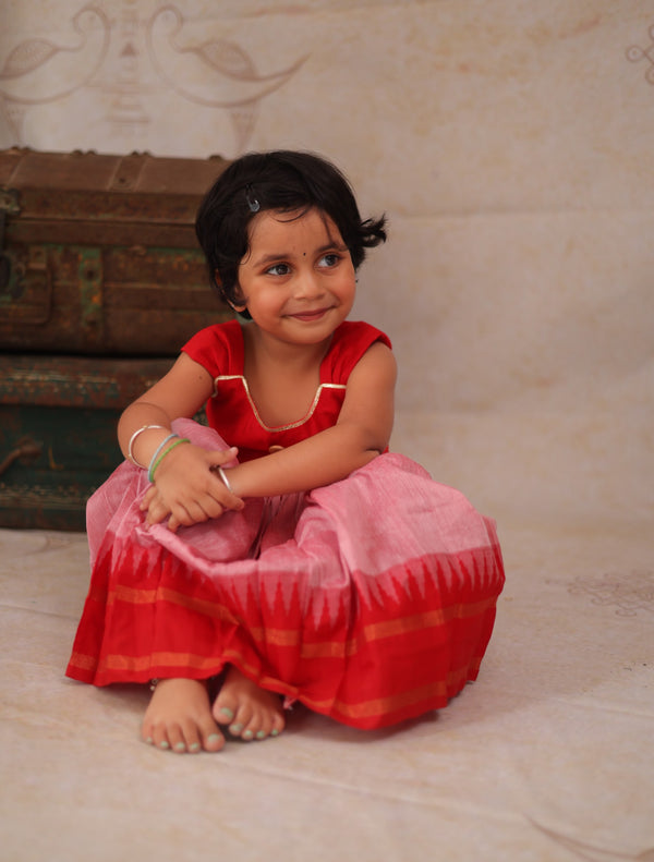 Aakriti - Crop top and skirt