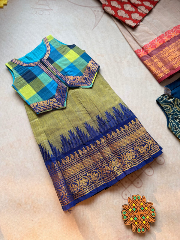 Dheerga- Crop top and skirt